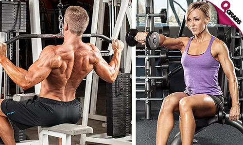 Lose Fat & Build Lean Muscle Course - Meal Plan Included!